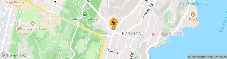 Map showing a marker over -41.3038418, 174.7941505