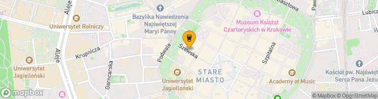 Map showing a marker over 50.0628837, 19.9343811