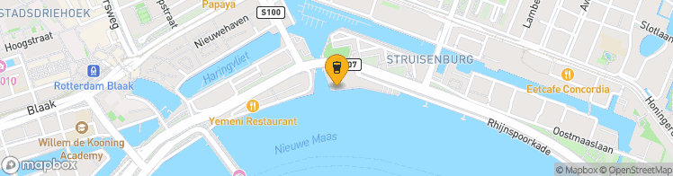 Map showing a marker over 51.919565899999995, 4.5006546