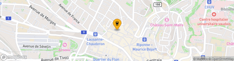 Map showing a marker over 46.5237635, 6.6288626