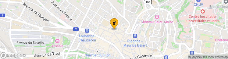 Map showing a marker over 46.523539299999996, 6.629669100000001