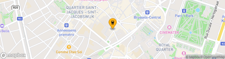 Map showing a marker over 50.8439171, 4.352024