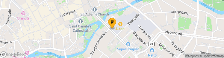 Map showing a marker over 55.3947594, 10.3935073