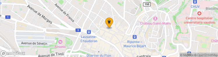 Map showing a marker over 46.5237635, 6.6288626